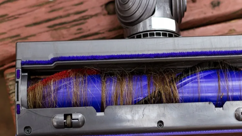 pet hair wrapped in vacuum filter